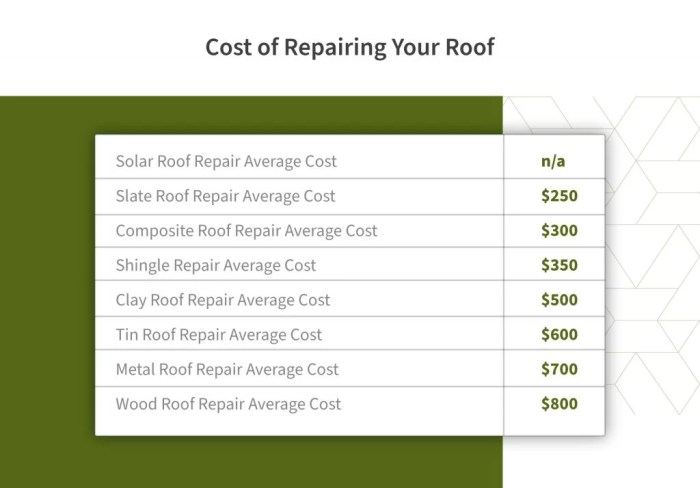 Roof Repair Cost Guide (2024 Update) | Roof Maxx